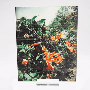 Custom Acrylic Photo Plaque
